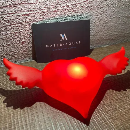 Mater Aquae-3