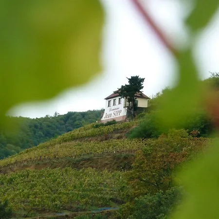 Domaine Jean Sipp-3