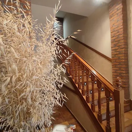 Hostal la Cepa-3
