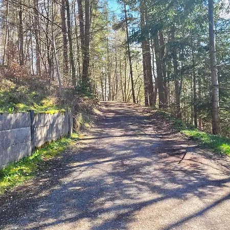 Waldpension Am Köpfchen-2