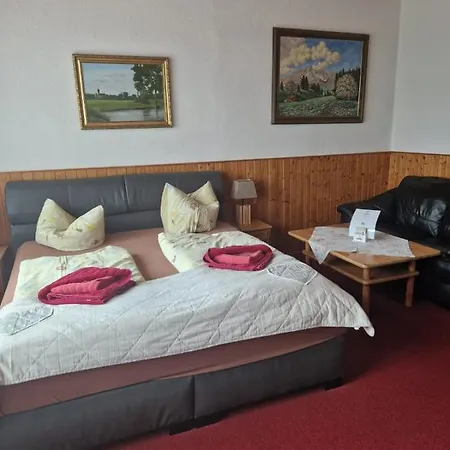 Pension Zur Elbe-3