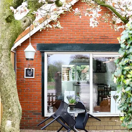 Huisje Sasa-3