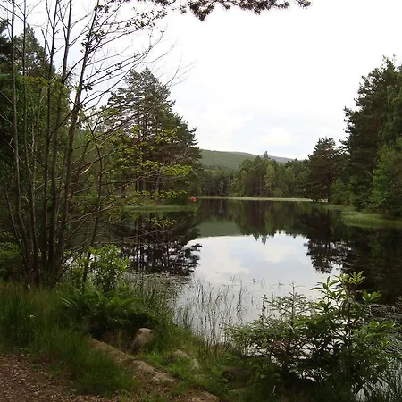 Willowbank-3