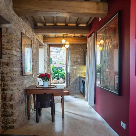La Viola di Assisi-3