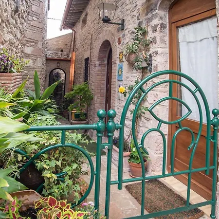 La Viola di Assisi-2