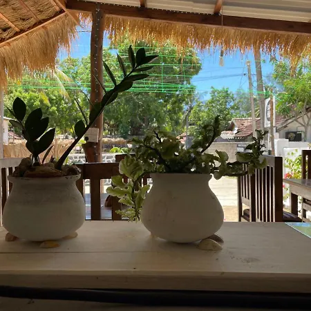 Banana Surf House-3
