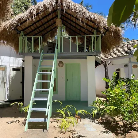 Banana Surf House-2