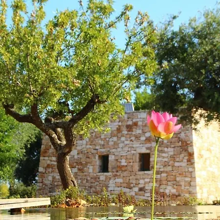 Il Fiore Della Vita Trulli Country House-3