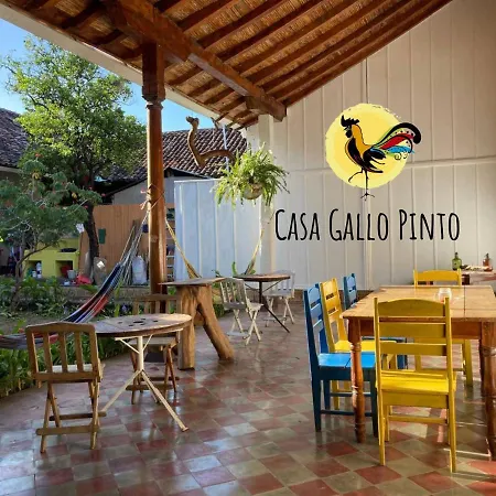 Casa Gallo Pinto-3