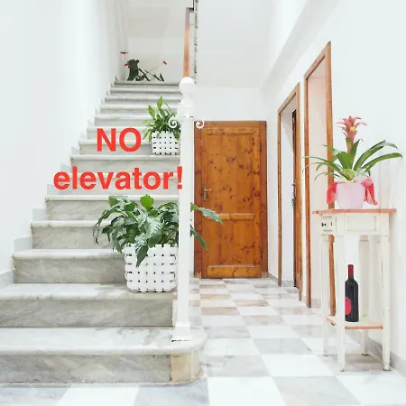 Eco Pisa Tower Guesthouse-3