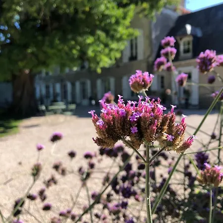 Domaine Saint-Hilaire-3