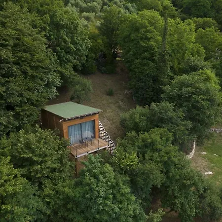 Tree House San Giorgio-3