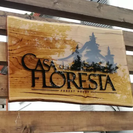 Casa Da Floresta-2