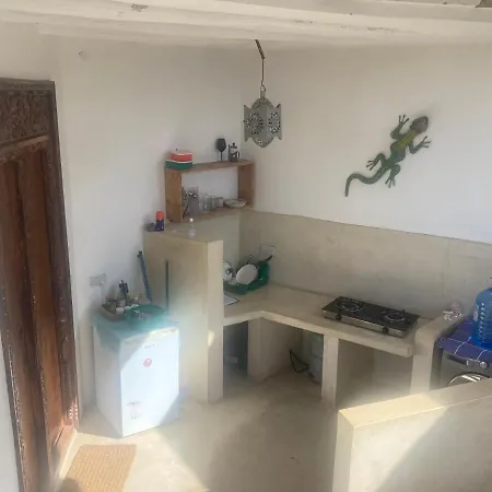 Gecko House-2