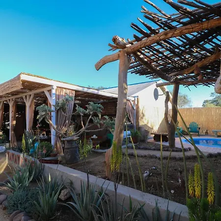 The Desert House-2