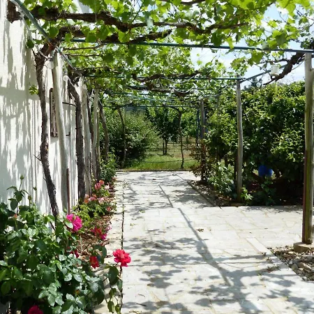 Weinbau&Pension – Familie Birgit und Bernhard Meusert-3