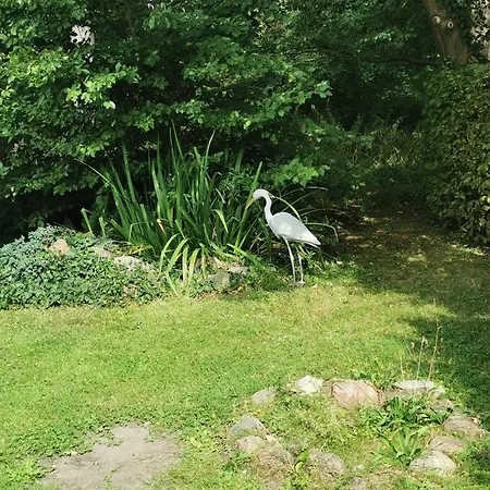 Pension zum Park-2