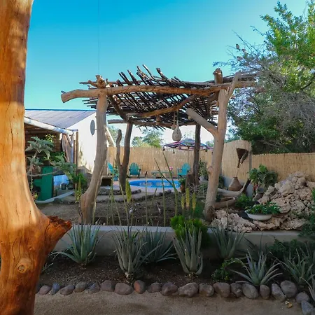 The Desert House-2