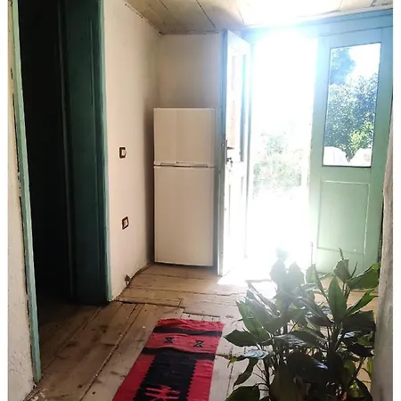 Gestapo Guest House-2