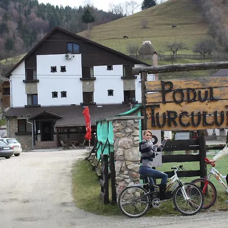 Pension Podul Turcului-3