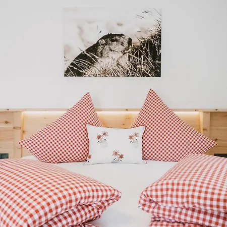 Nedererhof - Zimmer Edelweiß mit Gemeinschaftsküche-3