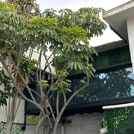 Tree Cabin-2