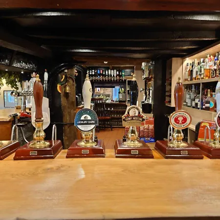 The Green Dragon-3
