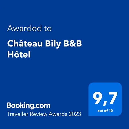 Château Bily B&B Hôtel-3