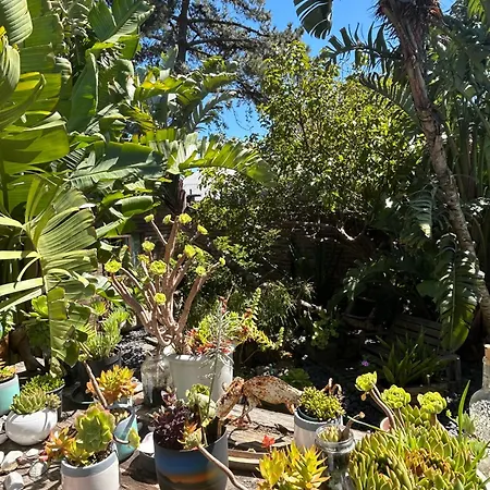 Aloha Lodge-2