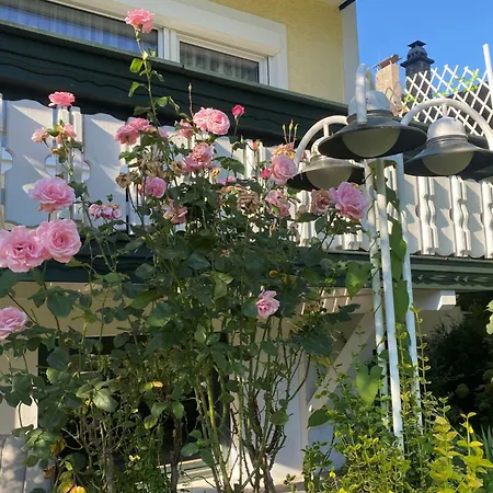 Pension&Apartments Ertl-3
