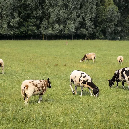 De Kaleihoeve-2