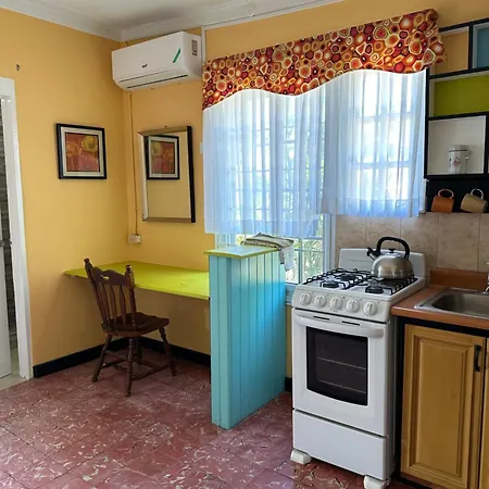 Shades Of Summer Apartments In Negril With Kitchen-3
