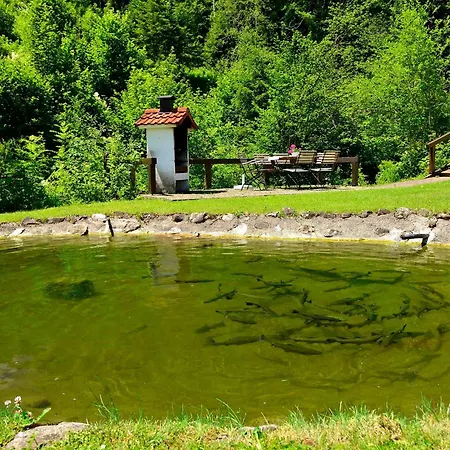Landhaus Bachtelmühle-3
