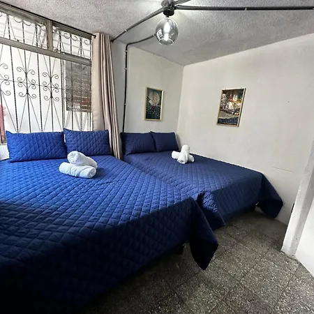 Casa Magnolia-2