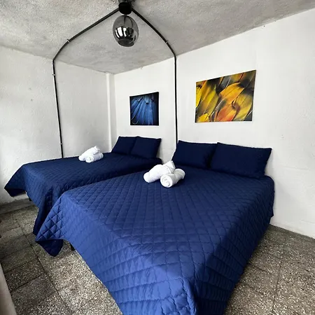 Casa Magnolia-3