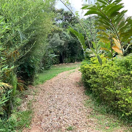 Bwindi Guest House-3