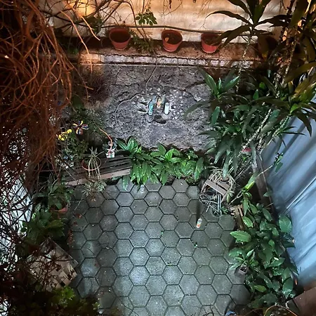 Las Rosas-3