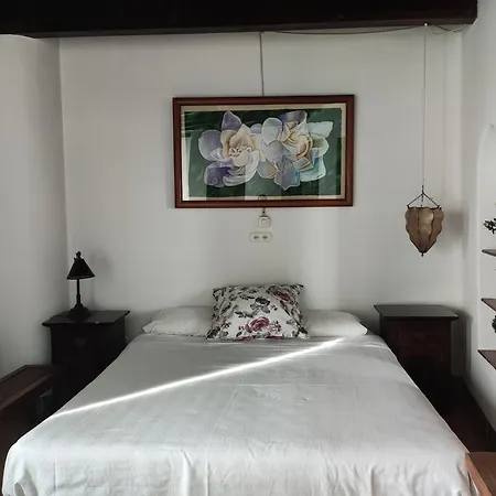 Casa Del Arte-3