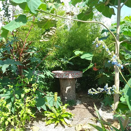 The Piggeries At La Maison Tumtum Arbre-3