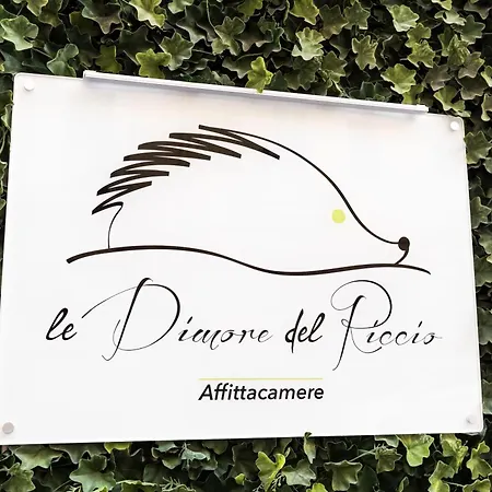 Affittacamere Le Dimore del Riccio-2