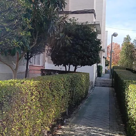 Apartamento y Habitaciones El Colmenar-2