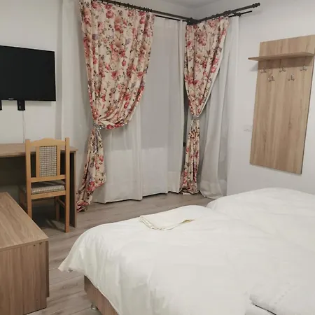 Pensiunea La Nenea Iancu-2