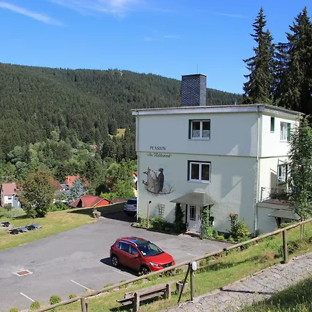 Pension Am Waldesrand-2
