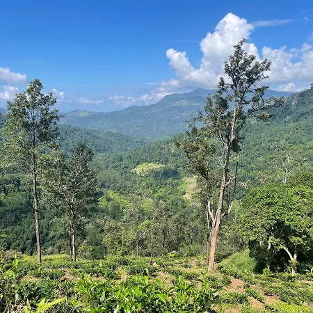 Eagles Eco Lodge - Kandy-2