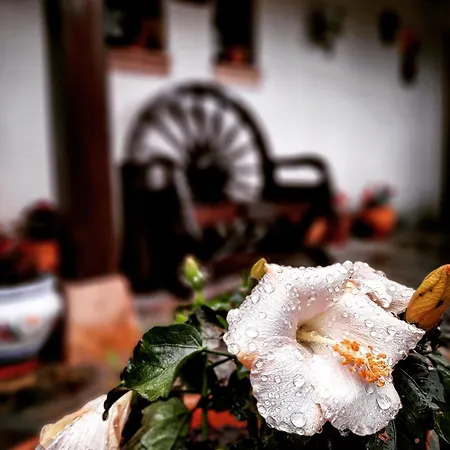 Posada Marina-3