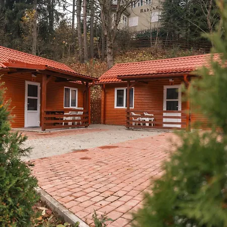 Vila Bradul-3