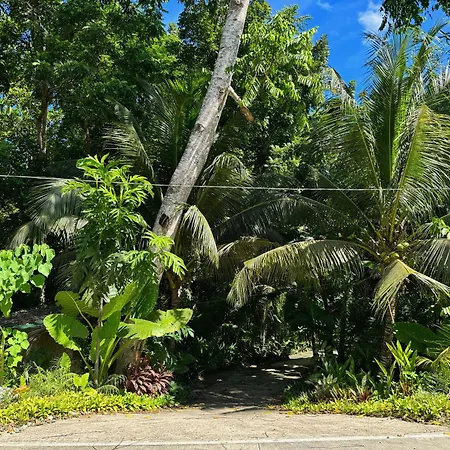 Jungle Kingdomes Guest House-3