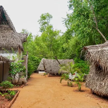 Nebula Nest Cafe & Hostel-2