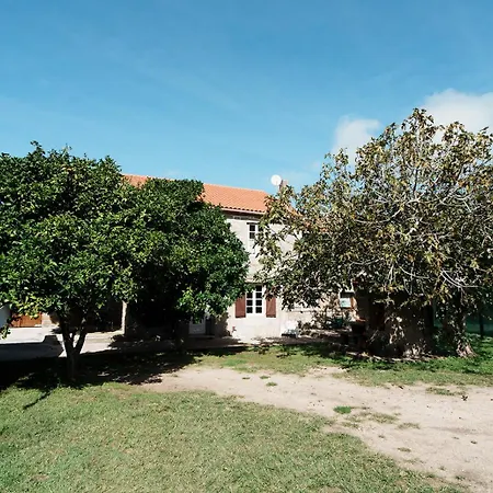 O Fogar Do Carpinteiro-3