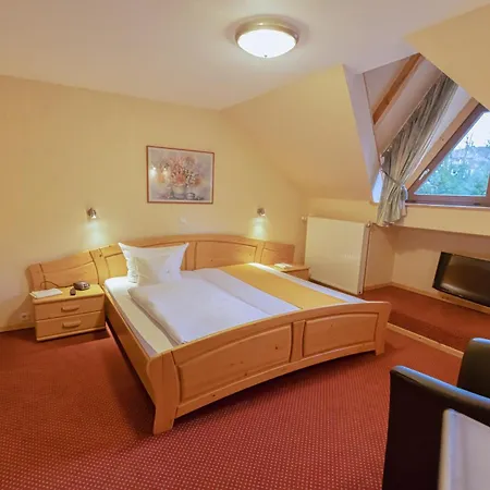 Hotel Sauerlaender Hof-3